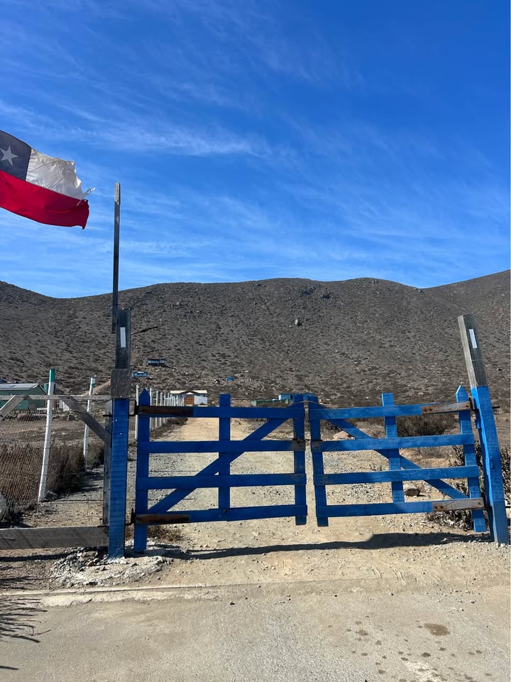 Parcela 5000 mts2 ROL propio en El Arrayán Costero La Serena — foto 4